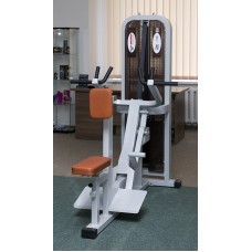 Iron Beast Professional Line Vertical Seated Row